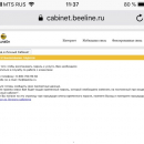 Интернет Магазин Билайн Горячая Линия
