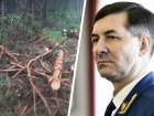 После публикации «Блокнота» о вырубке деревьев в Кисловодске около Олимпийской базы возбуждено уголовное дело