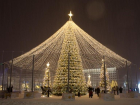 Покупка рекордно дорогой новогодней елки в Ставрополе вновь оказалась под угрозой срыва