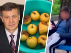 Гнилые фрукты в школах, миллионы у чиновников и онанист на детской площадке — что обсуждало Ставрополье 