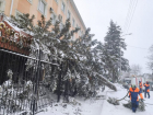 Снес крыши, повалил деревья и раздавил авто: что натворил ураган за ночь в Ставрополе