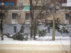В Ставрополе полностью наладили работу электричества после урагана