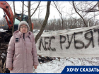Жители Ставрополя обратились к правоохранителям из-за вырубки урочища «Мутнянка» 