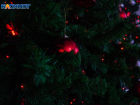 На Ставрополье губернаторская новогодняя елка состоится с учетом ковидных ограничений