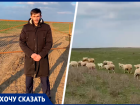 Жителей Нефтекумского округа Ставрополья оставили без пастбища 