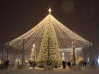 Мэрия Ставрополя не может купить новое дерево на Новый год из-за жалоб