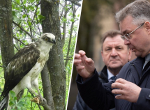 Губернатор не сдается: глава Ставрополья вновь пожаловался в Верховный Суд на запрет «пилить» КМВ