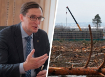 Мэрия Железноводска вознамерилась отдать 3,5 гектара лесов под капитальное строительство 