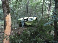 В ДТП вблизи Ставрополя автомобиль врезался в дерево: погиб мужчина