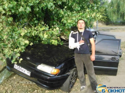 Житель Ставрополя врезался в дерево в Новочеркасске