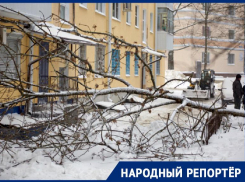Жители Ставрополя жалуются на неполучение компенсации из-за последствий урагана
