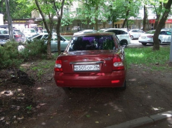 «Превращают город в скотный двор!»: автохам бросил «Приору» на газоне в центре Ставрополя 
