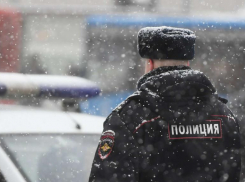 Полиция Ставрополя проверит законность вырубки деревьев в урочище «Мутнянка»