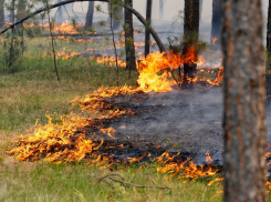МЧС предупреждает о возникновении пожаров на Ставрополье