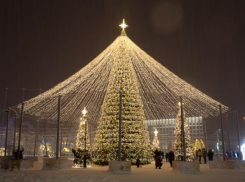 Мэрия Ставрополя не может купить новое дерево на Новый год из-за жалоб
