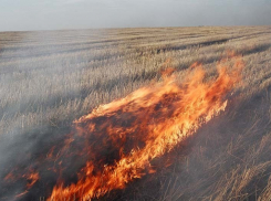 Два ландшафтных пожара на Ставрополье едва не стали причиной горения жилых домов