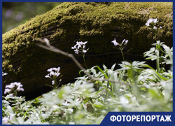 Фоторепортаж: в День Земли «Блокнот» запечатлел отношение ставропольцев к родной природе