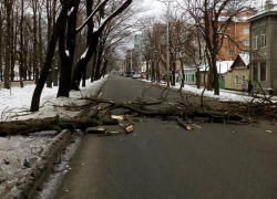 Более 8 миллионов рублей выделило правительство Ставрополья на восстановление после сильного ветра 