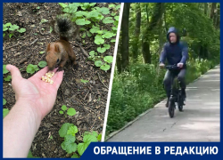 Бешеные велосипедисты убивают белок на тропе здоровья в Ставрополе