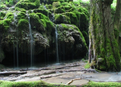 Сказочный лес и Травертиновый источник в Ставрополе