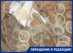 Секс за забором, презервативы на земле и шум в 5 утра замучили жителей села на Ставрополье 