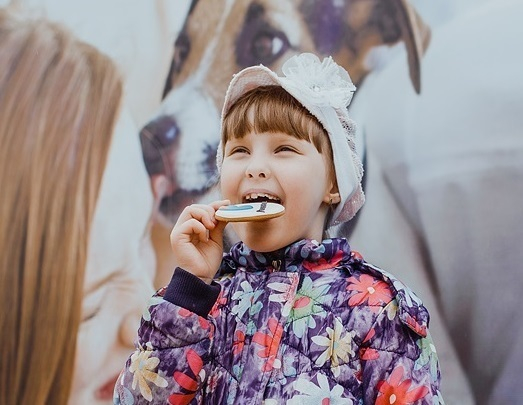 Новый Год В Пятигорске Где Отметить