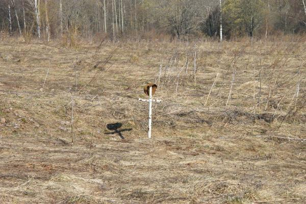 Братскую бесхозную могилу времен ВОВ обнаружили в Ставропольском крае