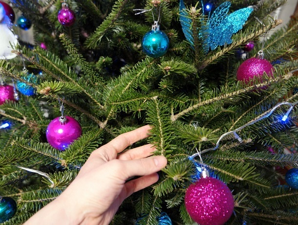 Как правильно избавляться от живых елок после праздников рассказал ставропольский регоператор