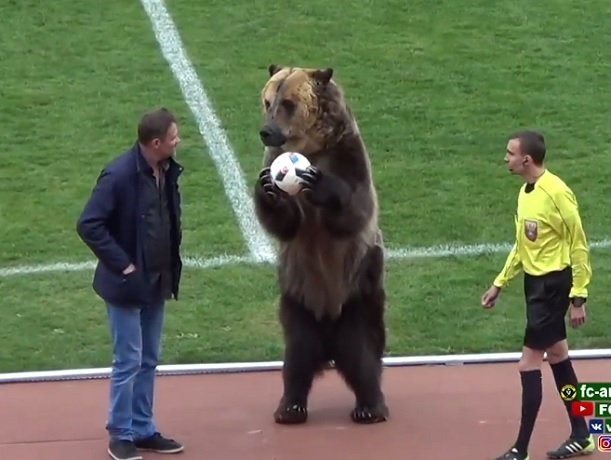 Иностранцы пришли в ярость от того, что матч пятигорской команды открывал медведь