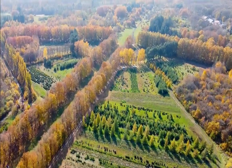 «Ни в одном мегаполисе нет столько лесов» — трэвел-блогеры оценили красоты Ставрополя