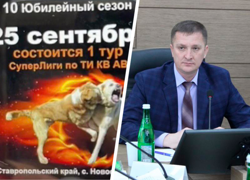 Попросившая главу Новоселицкого округа отменить собачьи бои женщина столкнулась с угрозами
