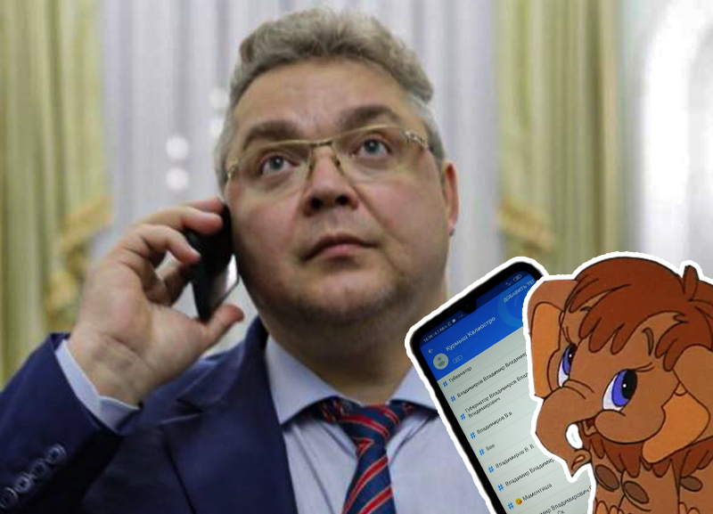 «Мамонт, слон и министр всего»: как записаны номера ставропольских чиновников в телефонах их знакомых
