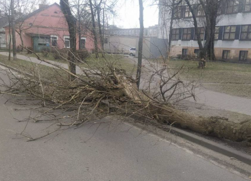 Сильный ветер в ставрополе. Самый сильный ветер в Ставрополе. Ветер в Ставрополе фото. Ветер на Ставрополье прикол.