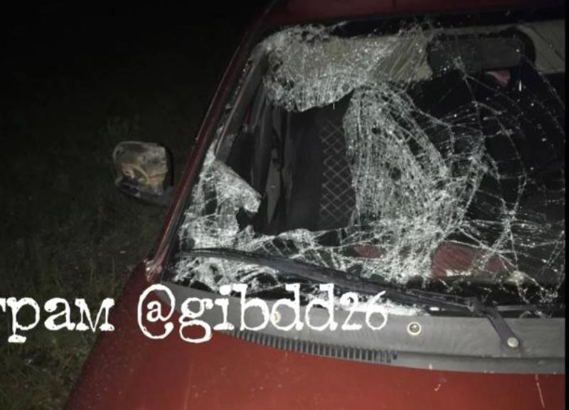 В Грачевском округе водитель ночью не заметил 15-летнего пешехода и сбил его