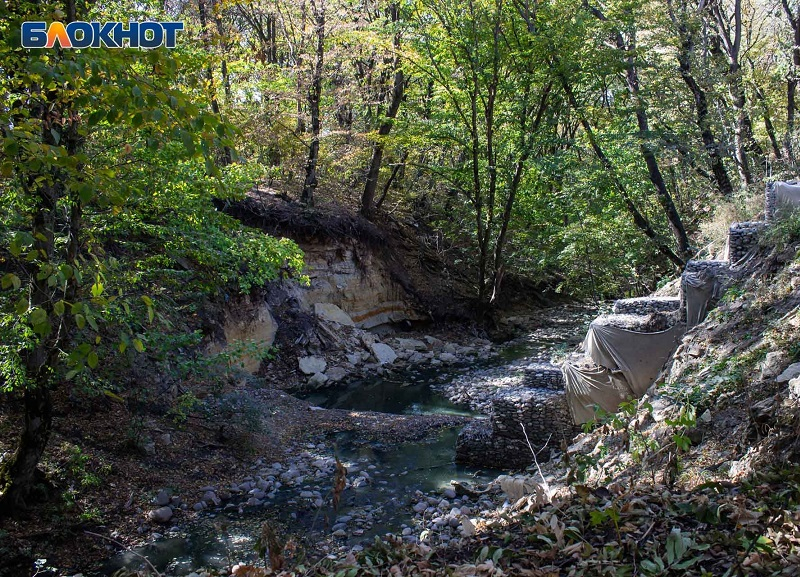 Мертвые воды: в Ставрополе речка Грушевая стала смрадной сточной канавой