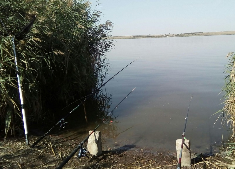 Озеро Буйвола в Буденновске расчистят впервые за последние полвека