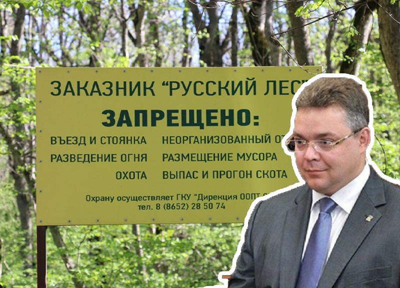 По итогам голосования в соцсети глава Ставрополья заявил — дорога через Русский лес будет