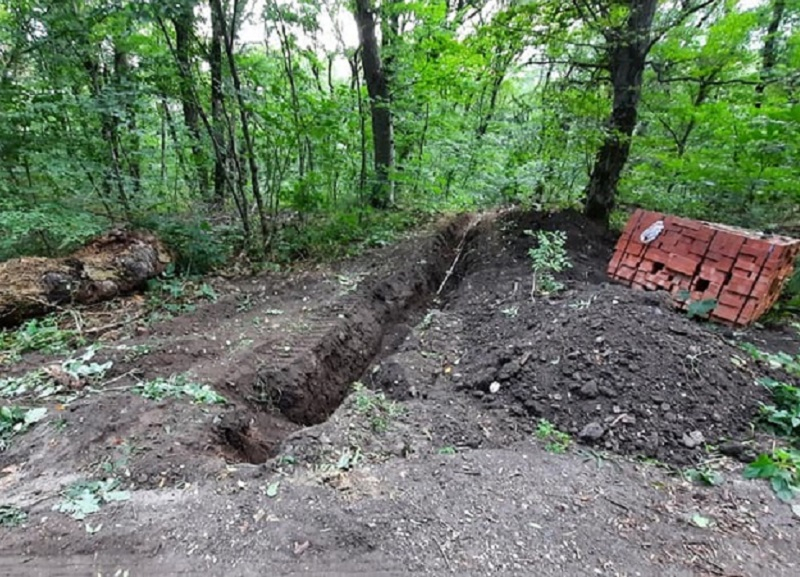 В Бештаугорском заказнике неизвестные с помощью тяжелой техники вырыли траншеи и повредили деревья