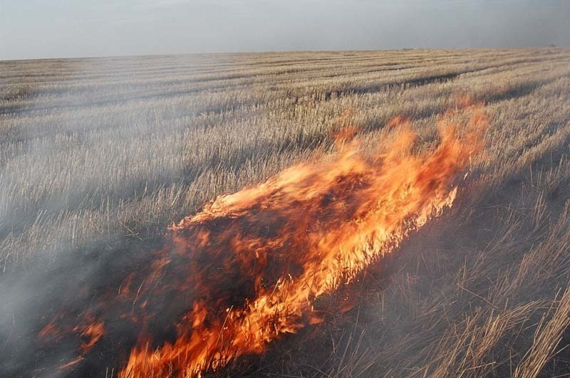 Два ландшафтных пожара на Ставрополье едва не стали причиной горения жилых домов