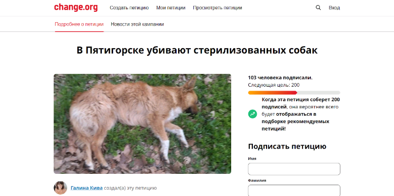 Change org котята в китае петиция. Change org петиция. Петиция на бродячих собак. Приют для бездомных собак.